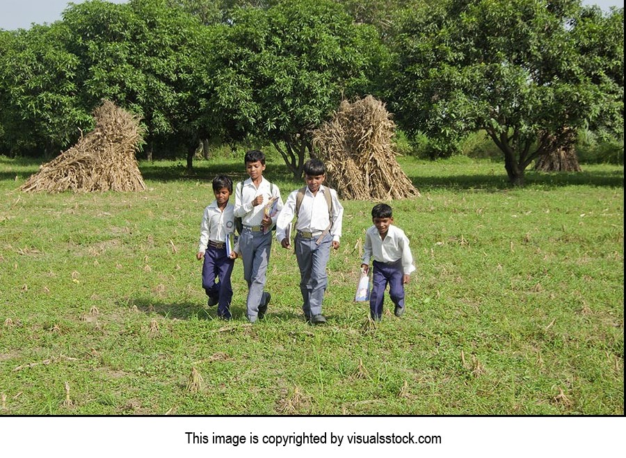 3-5 People ; Agriculture ; Backpack ; Bag ; Bondin