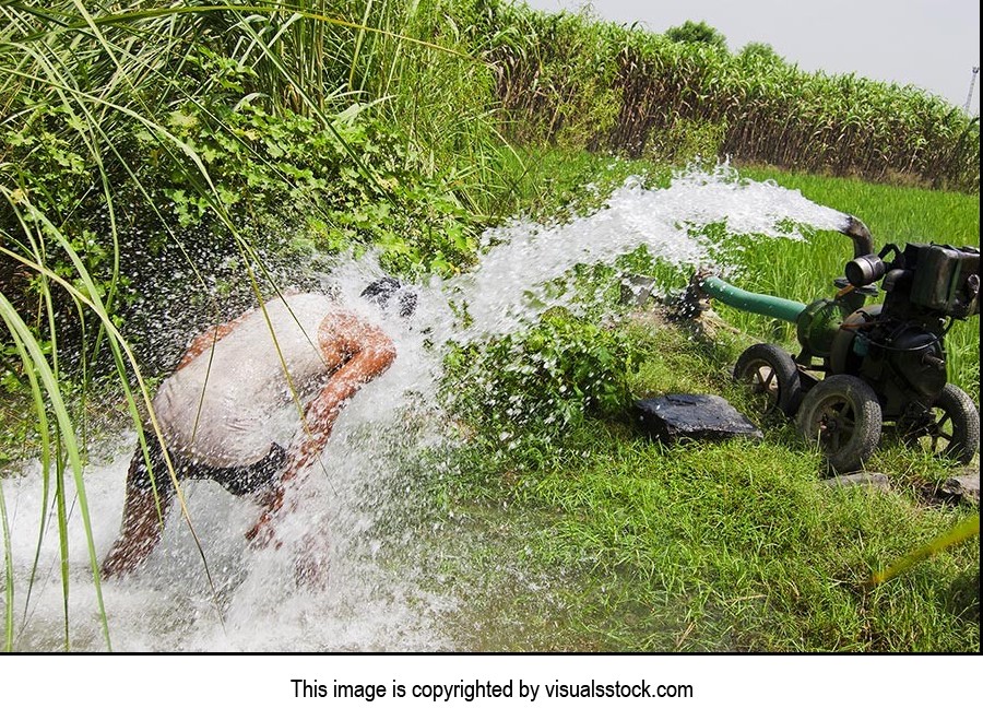 1 Person Only ; Adult Man ; Agriculture ; Bathing 