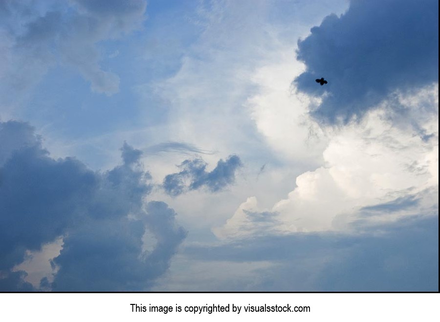 Beauty In Nature ; Birds ; Cloud ; Color Image ; C