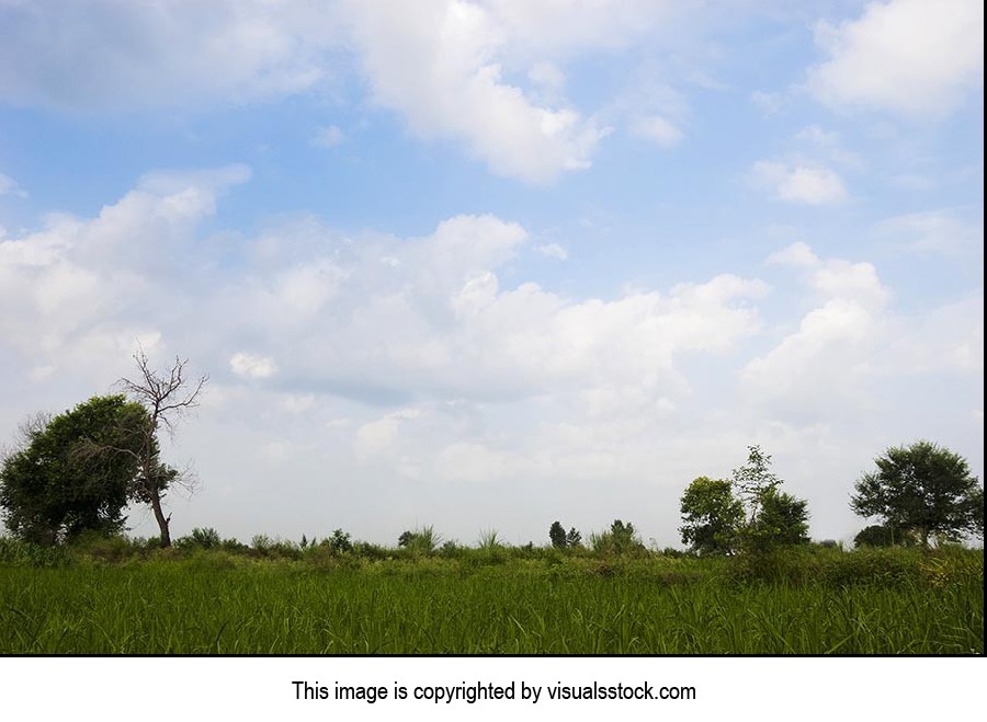 Absence ; Agriculture ; Beauty In Nature ; Cloud ;