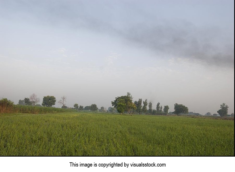 Absence ; Agriculture ; Beauty In Nature ; Cloud ;