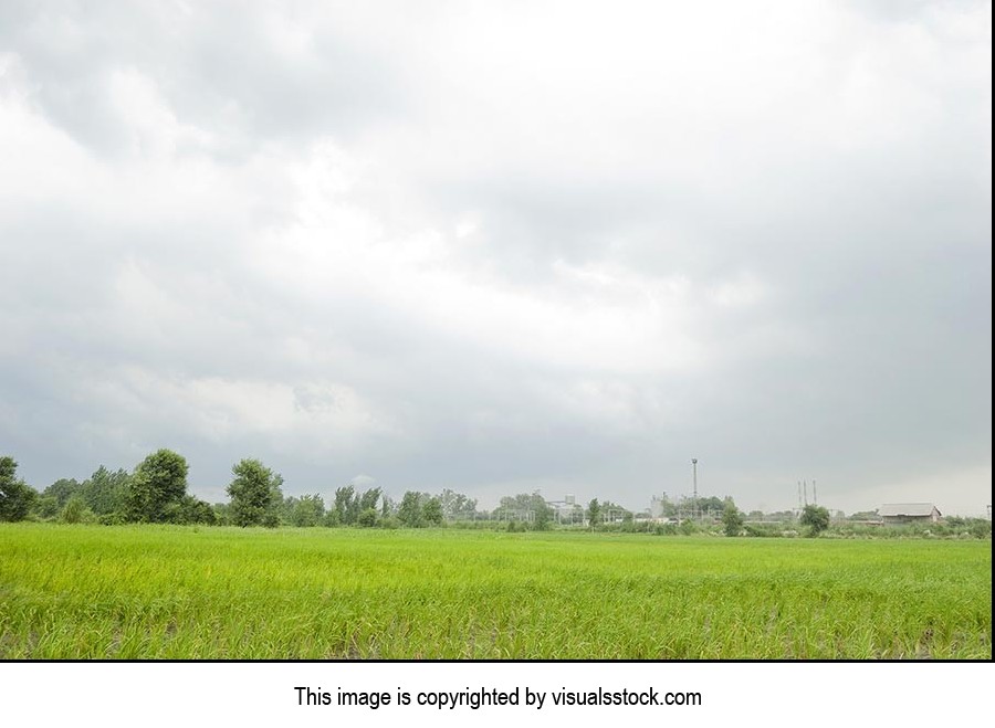 Absence ; Agriculture ; Beauty In Nature ; Cloud ;