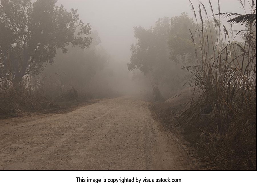 Absence ; Agriculture ; Color Image ; Crops ; Cult