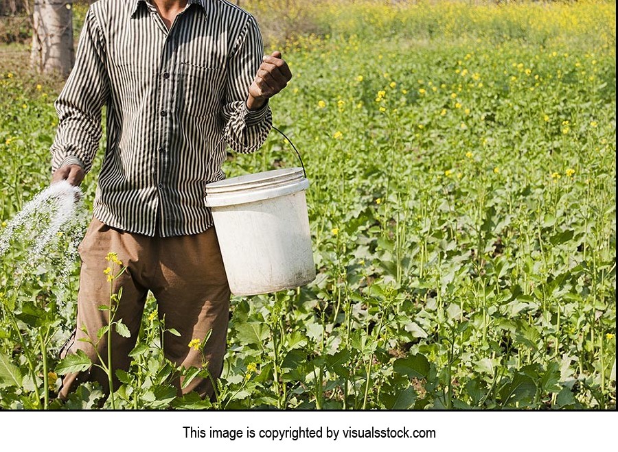 1 Person Only ; Adult Man ; Agriculture ; Bucket ;