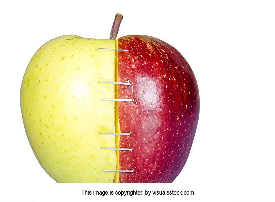 Apple ; Bizarre ; Bonding ; Close-Up ; Color Image