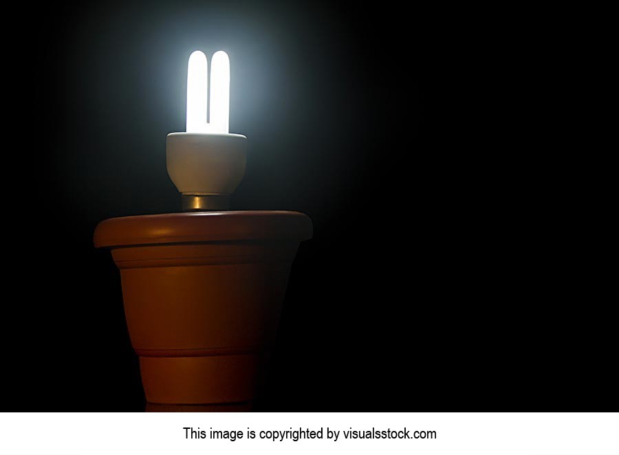 Beginning ; Bizarre ; Black Background ; Bulb ; CF