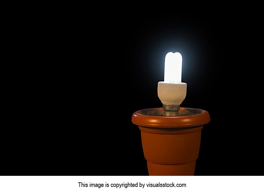 Beginning ; Bizarre ; Black Background ; Bulb ; CF