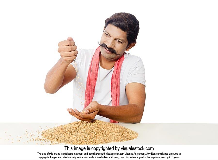 Indian Farmer Checking Wheat