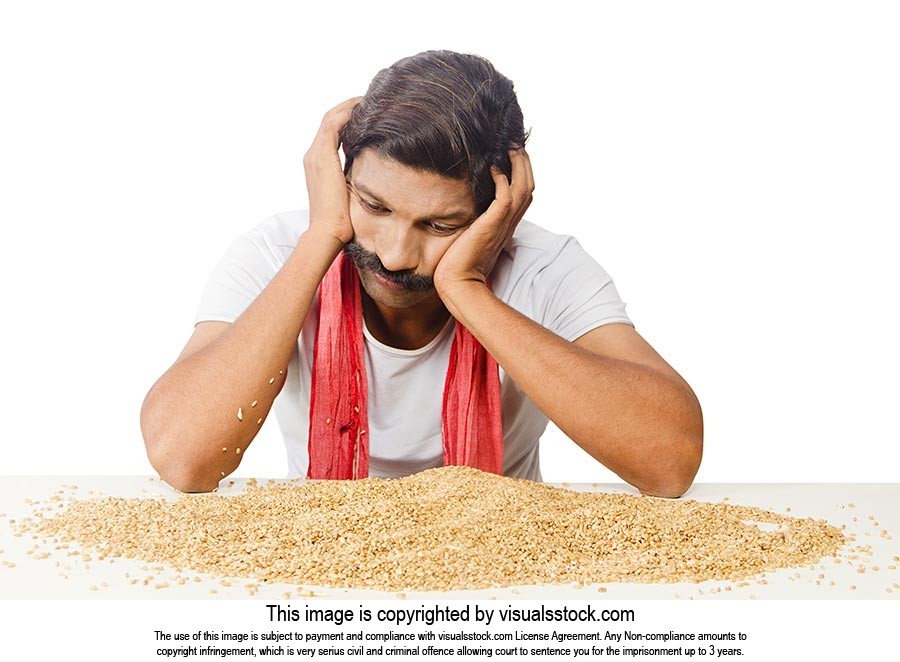 Farmer Wheat Loss Stress