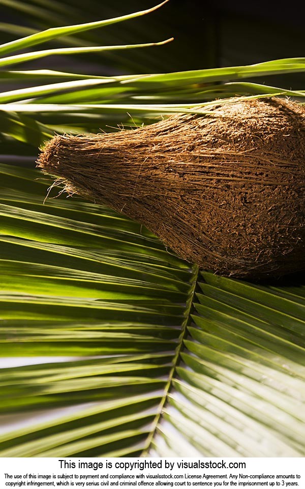 Background ; Close-Up ; Coconut ; Color Image ; Ex