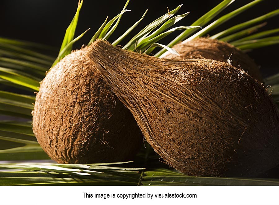 Background ; Close-Up ; Coconut ; Color Image ; Ex