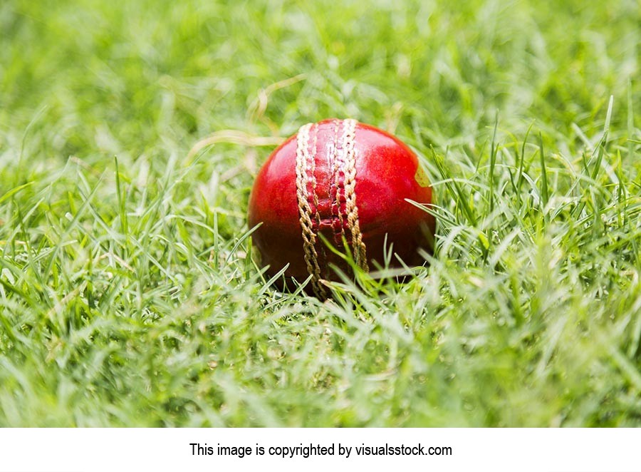 Background ; Ball ; Close-Up ; Color Image ; Creat