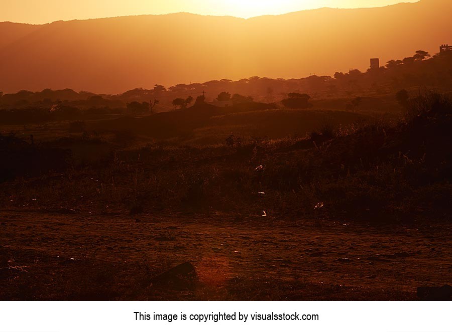 Ajmer ; Beauty In Nature ; Color Image ; Desert ; 