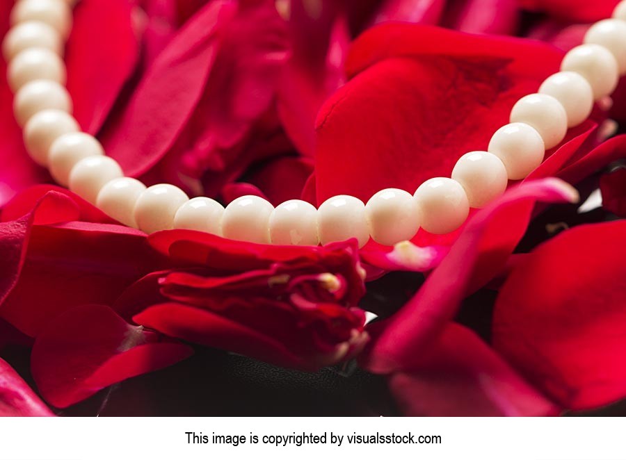 Background ; Bead ; Close-Up ; Color Image ; Color