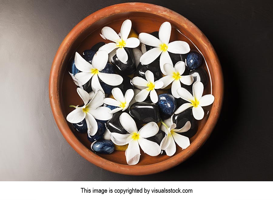 Abundance ; Arranging ; Assortment ; Beauty ; Bowl