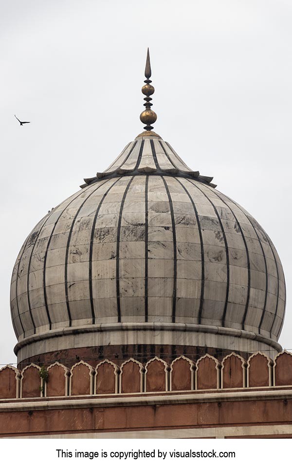 Ancient ; Arch ; Architecture ; Birds ; Buildings 