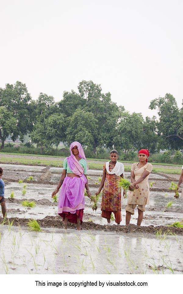 3-5 People ; 40-50 Years ; Adult Woman ; Agricultu