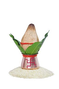 Celebrations ; Close-Up ; Coconut ; Color Image ; 