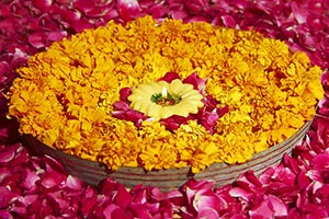 Arranging ; Background ; Black Background ; Bowl ;