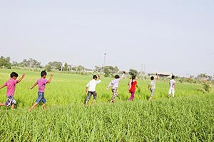 Agriculture ; Bonding ; Boys ; Carefree ; Casual C