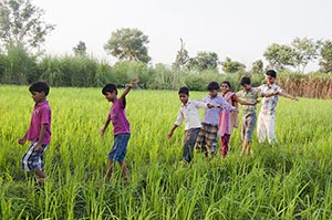 Agriculture ; Arms Outstretched ; Bonding ; Boys ;