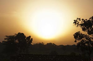 Absence ; Agriculture ; Beauty In Nature ; Color I