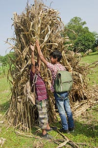 2 People ; Agriculture ; Arms Raised ; Backpack ; 