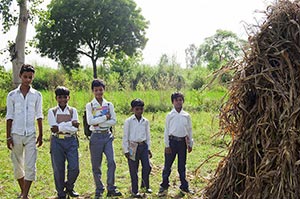 3-5 People ; Agriculture ; Backpack ; Bag ; Bondin