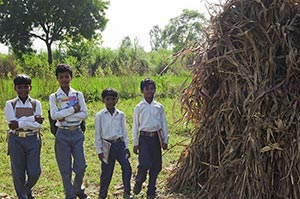 3-5 People ; Agriculture ; Backpack ; Bag ; Bondin