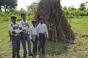 3-5 People ; Agriculture ; Backpack ; Bag ; Bondin