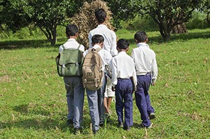 3-5 People ; Agriculture ; Backpack ; Bag ; Bondin