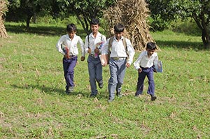 3-5 People ; Agriculture ; Backpack ; Bag ; Bondin