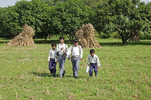 3-5 People ; Agriculture ; Backpack ; Bag ; Bondin