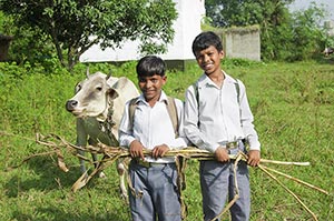 2 People ; Agriculture ; Animal Themes ; Animals ;