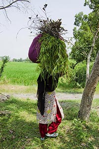 1 Person Only ; Adult Woman ; Agriculture ; Carryi