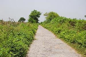 Absence ; Agriculture ; Color Image ; Crops ; Cult