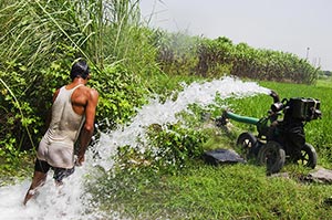 1 Person Only ; Adult Man ; Agriculture ; Bathing 