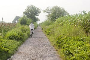 1 Person Only ; Adult Man ; Agriculture ; Bicycle 