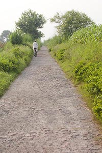 1 Person Only ; Adult Man ; Agriculture ; Bicycle 