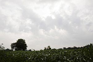 Absence ; Agriculture ; Beauty In Nature ; Cloud ;