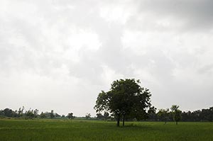 Absence ; Agriculture ; Beauty In Nature ; Cloud ;