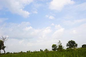 Absence ; Agriculture ; Beauty In Nature ; Cloud ;