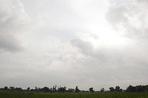 Absence ; Agriculture ; Beauty In Nature ; Cloud ;