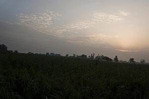 Absence ; Agriculture ; Beauty In Nature ; Cloud ;