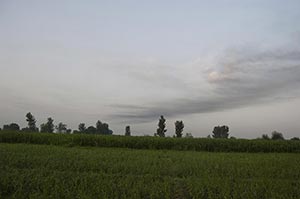 Absence ; Agriculture ; Beauty In Nature ; Cloud ;