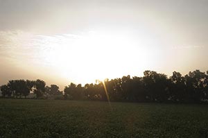 Absence ; Agriculture ; Beauty In Nature ; Cloud ;