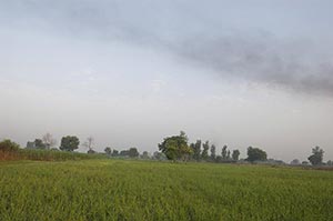 Absence ; Agriculture ; Beauty In Nature ; Cloud ;