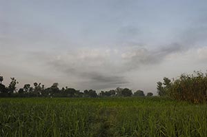 Absence ; Agriculture ; Beauty In Nature ; Cloud ;