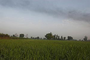 Absence ; Agriculture ; Beauty In Nature ; Cloud ;