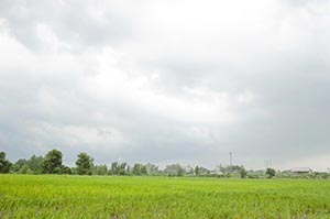 Absence ; Agriculture ; Beauty In Nature ; Cloud ;